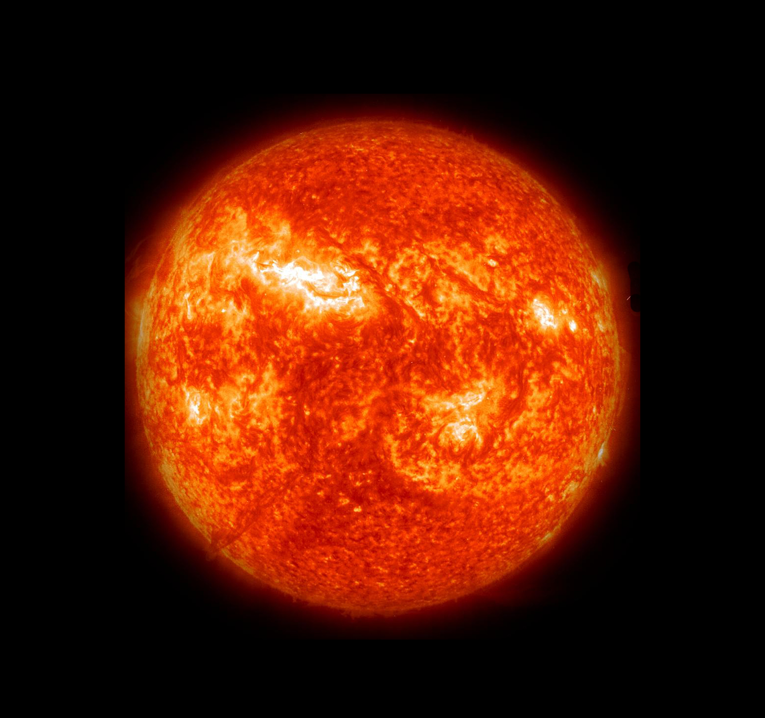 vycanismajoris